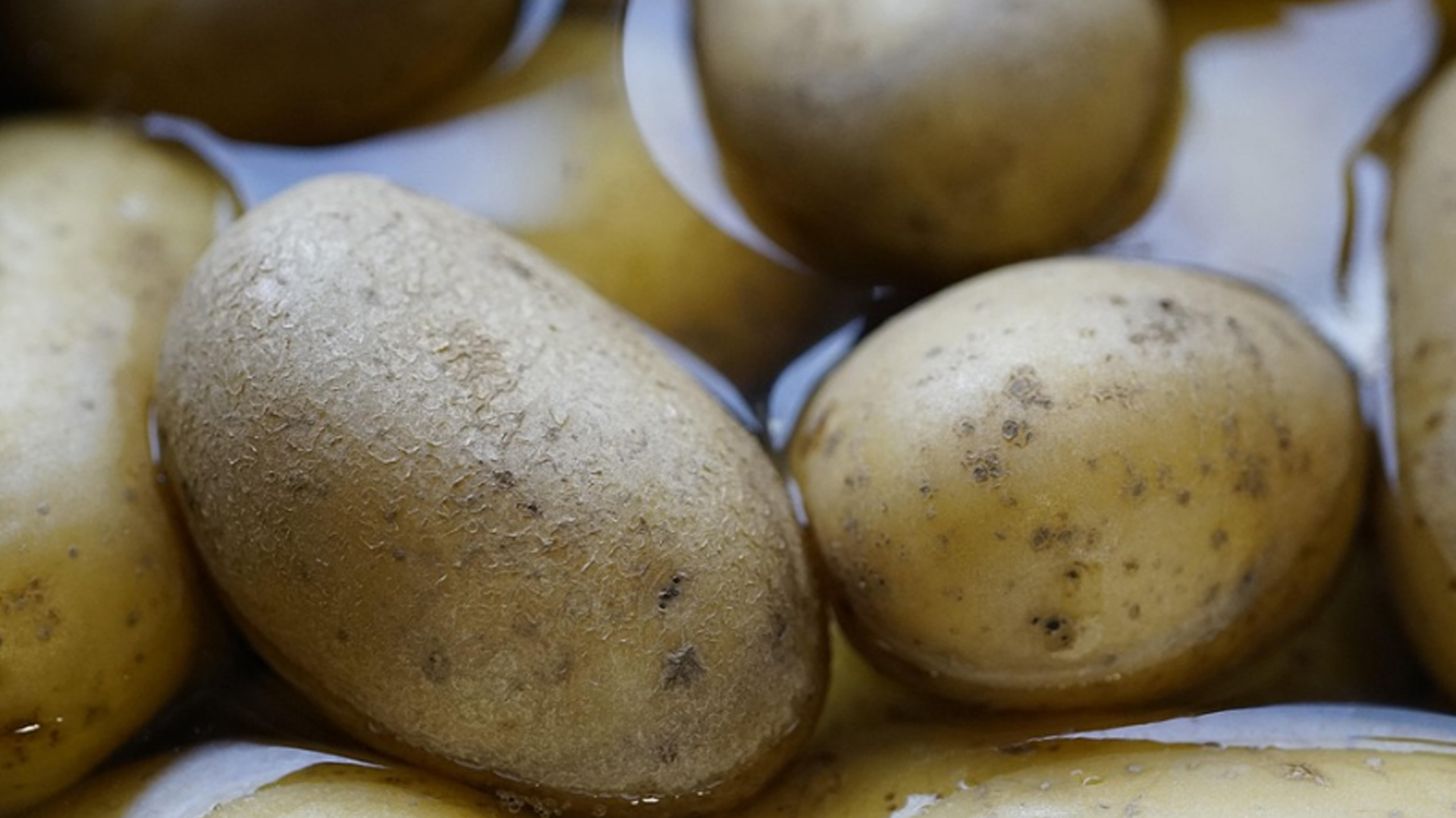 Beste supermarkt aanbiedingen voor een gezin van 4 deze week