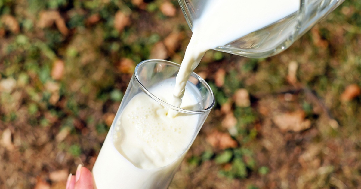 Waar is melk het goedkoopst: Lidl vs Aldi vs Jumbo?