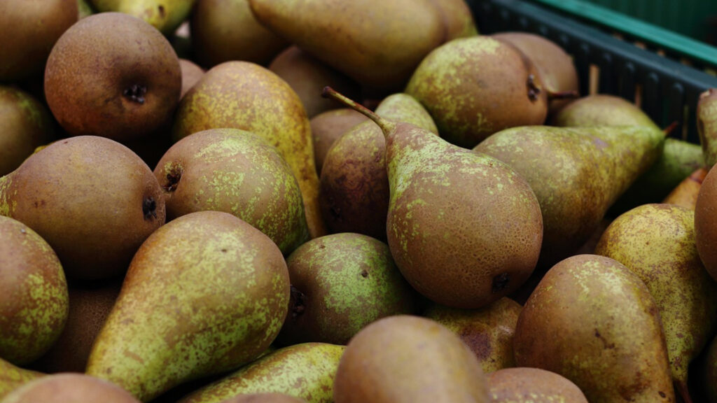 Beste 1+1 gratis aanbiedingen bij Albert Heijn voor voorraad inslaan